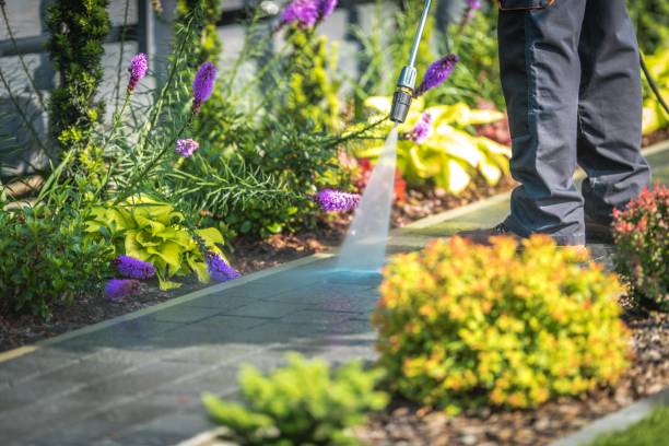 Best Patio and Deck Pressure Washing  in Five Forks, SC