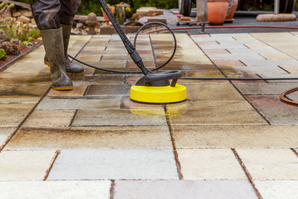 Animal Enclosure Cleaning in Five Forks, SC